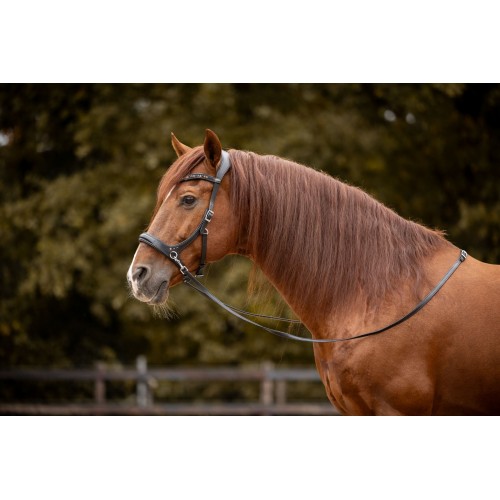 F.R.A. Moonlight Bitless Bridle