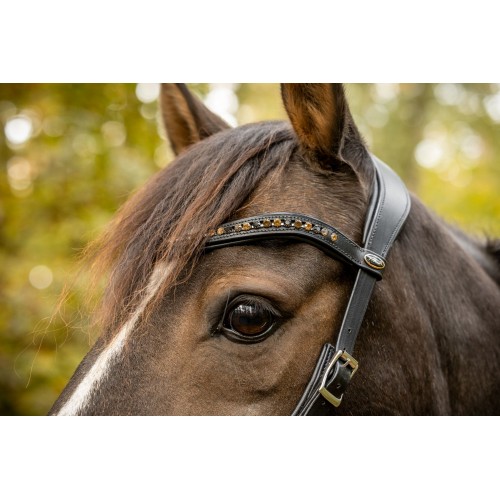 F.R.A. Moonlight Bitless Bridle