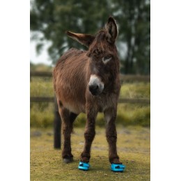 F.R.A. Cavallo Donkey копыта ботинки