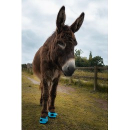 F.R.A. Cavallo Donkey копыта ботинки