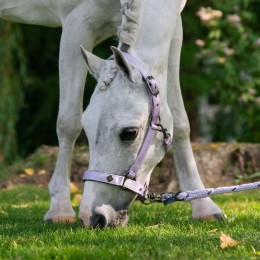 Imperial Riding SS26 недоуздок IRHRebel