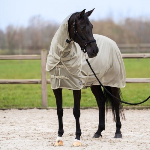 Imperial Riding SS26 Fly Rug IRRHreese