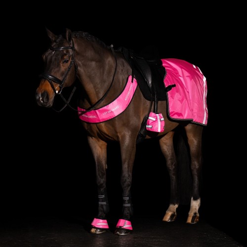 Imperial Riding Exercise Sheet IRHReflective