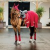 Amigo Fleece Cooler