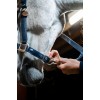 Horseware Grooming Headcollar