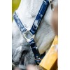 Horseware Grooming Headcollar