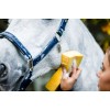 Horseware Grooming Headcollar