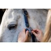 Horseware Grooming Headcollar