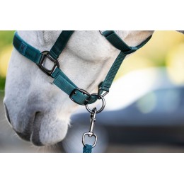 Horseware Headворотник & чомбур