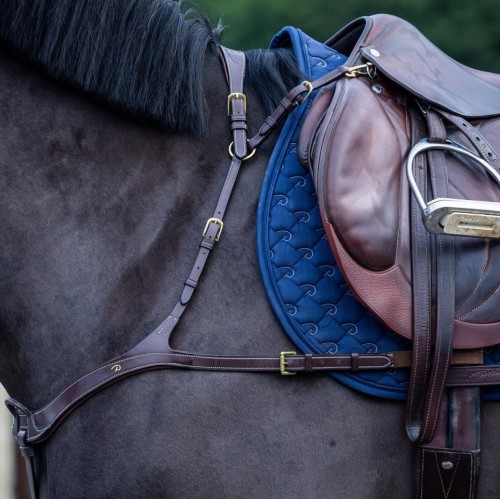 Dyon Anatomical Breastplate