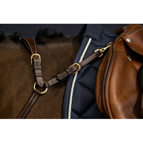 Dyon Anatomical Breastplate