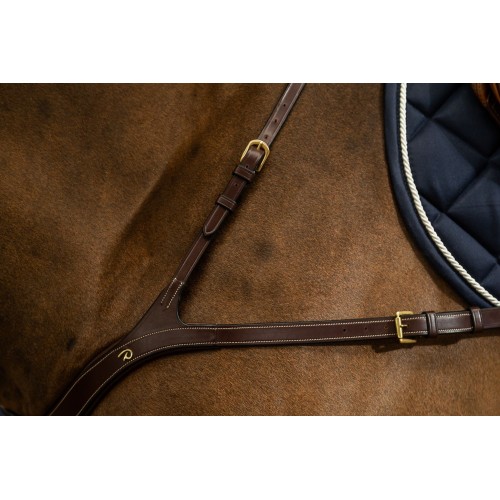 Dyon Anatomical Breastplate