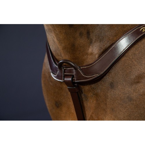 Dyon Anatomical Breastplate