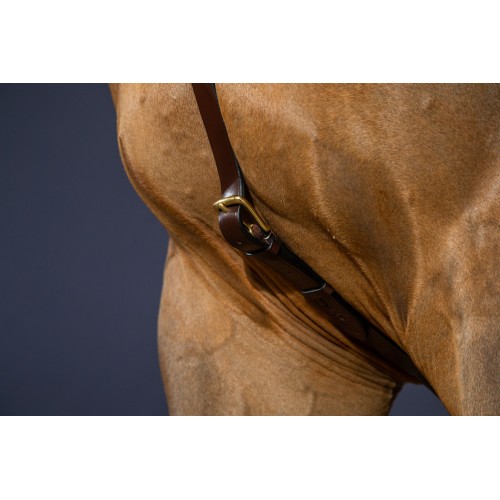 Dyon Anatomical Breastplate