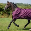 Bucas Freedom Turnout Blackberry