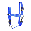 Excellent Horse Essential Halter