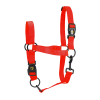 Excellent Horse Essential Halter