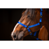 Excellent Horse Premium Halter