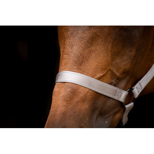 Excellent Horse Premium Halter