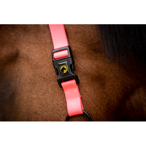 Excellent Horse Premium Halter