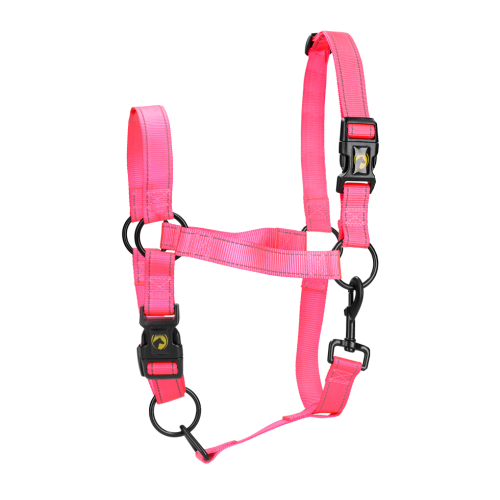 Excellent Horse Premium Halter