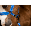 Excellent Horse Superior Halter