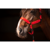 Excellent Horse Superior Halter