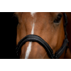 Excellent Horse Superior Halter