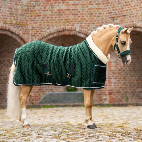 HB Showtime Show Rug Special