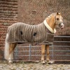 HB Showtime Show Rug Special