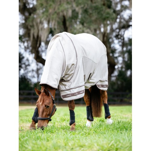 LeMieux SS'25 Arika Sunstopper Rug