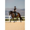 LeMieux SS26 Essence Dressage Saddle Pad