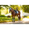 LeMieux SS26 Essence Dressage Saddle Pad