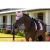 LeMieux SS26 Essence Fly Hood