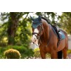LeMieux SS26 Essence Fly Hood