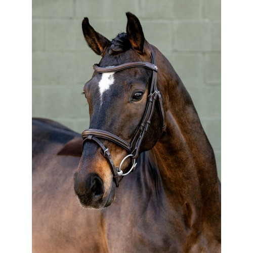 LeMieux Arika Flash 2.0 Bridle