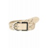 Pikeur FW25 Sports Belt