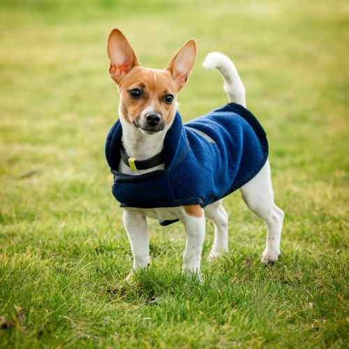 Horseware Signature Dog Fleece