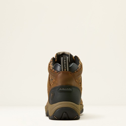 Ariat Terrain Shoes