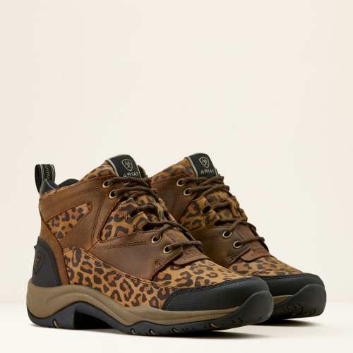 Ariat Terrain Shoes