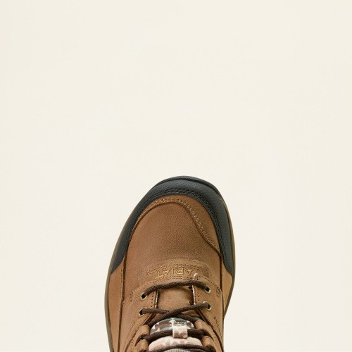 Ariat Terrain Shoes