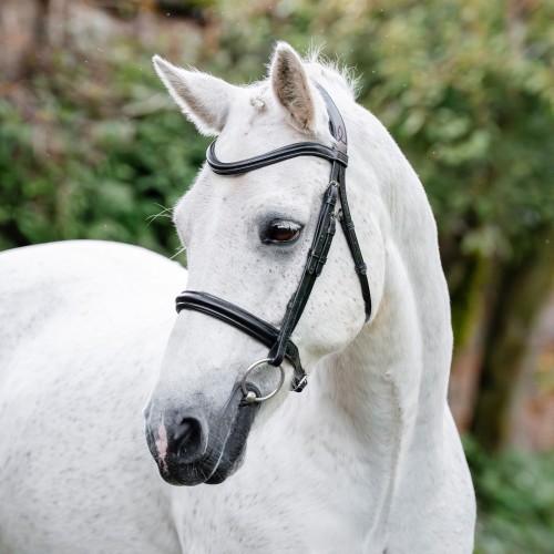 Horseware Pony Cavesson Bridle