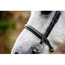 Horseware пони капцунг уздечка