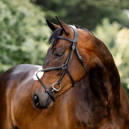 Horseware Figure 8 Grackle Bridle