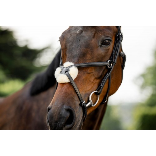 Horseware Figure 8 Grackle Bridle