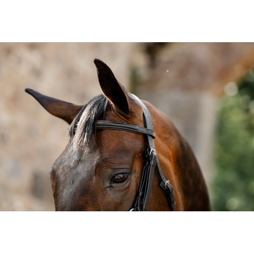 Horseware Figure 8 Grackle Bridle
