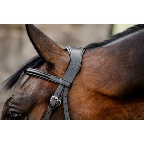 Horseware Figure 8 Grackle Bridle