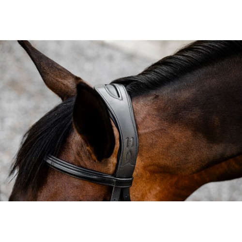 Horseware Figure 8 Grackle Bridle