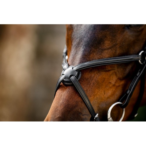 Horseware Figure 8 Grackle Bridle