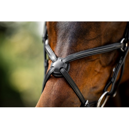 Horseware Figure 8 Grackle Bridle